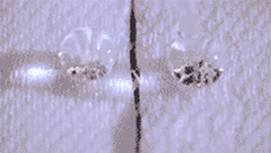 20190910132102_812 20190910132102_812